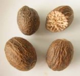 muskatniy_oreh.jpg