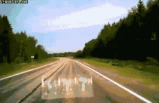осел.gif