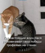 к2.jpg