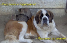 с3.png