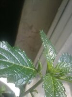 260620121501.jpg