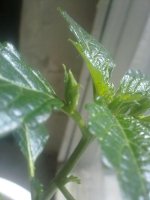 260620121504.jpg