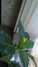 270620121505.jpg