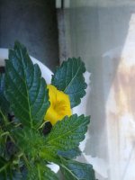 270620121507.jpg
