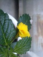 270620121508.jpg