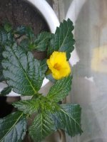 270620121509.jpg