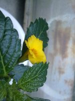 270620121510.jpg