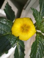 280620121518.jpg