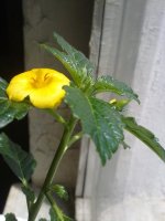 280620121519.jpg