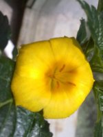 280620121520.jpg