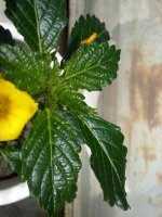 280620121521.jpg