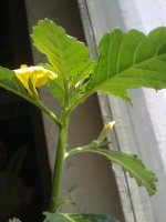 280620121523.jpg
