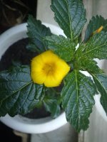 280620121524.jpg