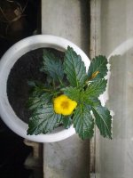 280620121525.jpg