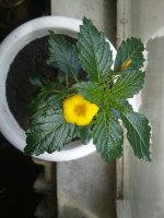 280620121526.jpg
