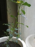 280620121527.jpg