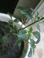 280620121528.jpg