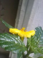 020720121544.jpg