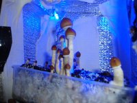 DSC02130.JPG