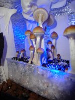 DSC02133.JPG