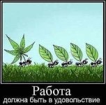 раб.jpg
