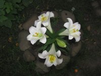 IMG_0744.JPG