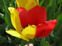 IMG_2332.JPG