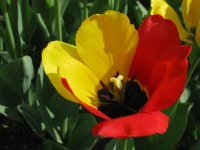 IMG_2329.JPG