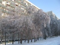 IMG_2350.JPG