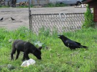 IMG_2502.JPG