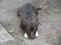 IMG_0734.JPG