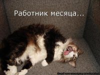 к3.jpg