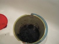 IMG_0369.JPG