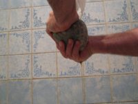 IMG_0373.JPG