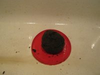 IMG_0374.JPG