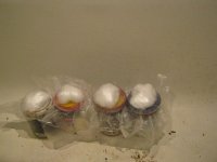 IMG_0379.JPG