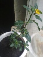 040720121551.jpg