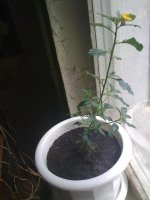 040720121557.jpg