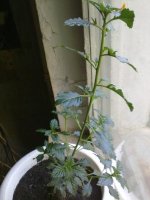 100720121565.jpg