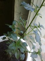 100720121568.jpg