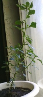 100720121571.jpg