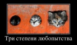 к3.jpg