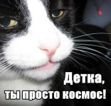 к2.jpg