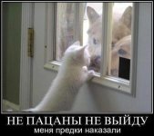 к1.jpg