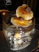 DSC02180.JPG