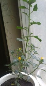 170720121580.jpg