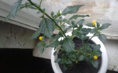 170720121582.jpg