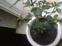 170720121583.jpg
