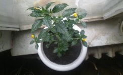 170720121587.jpg