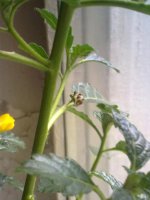 170720121591.jpg